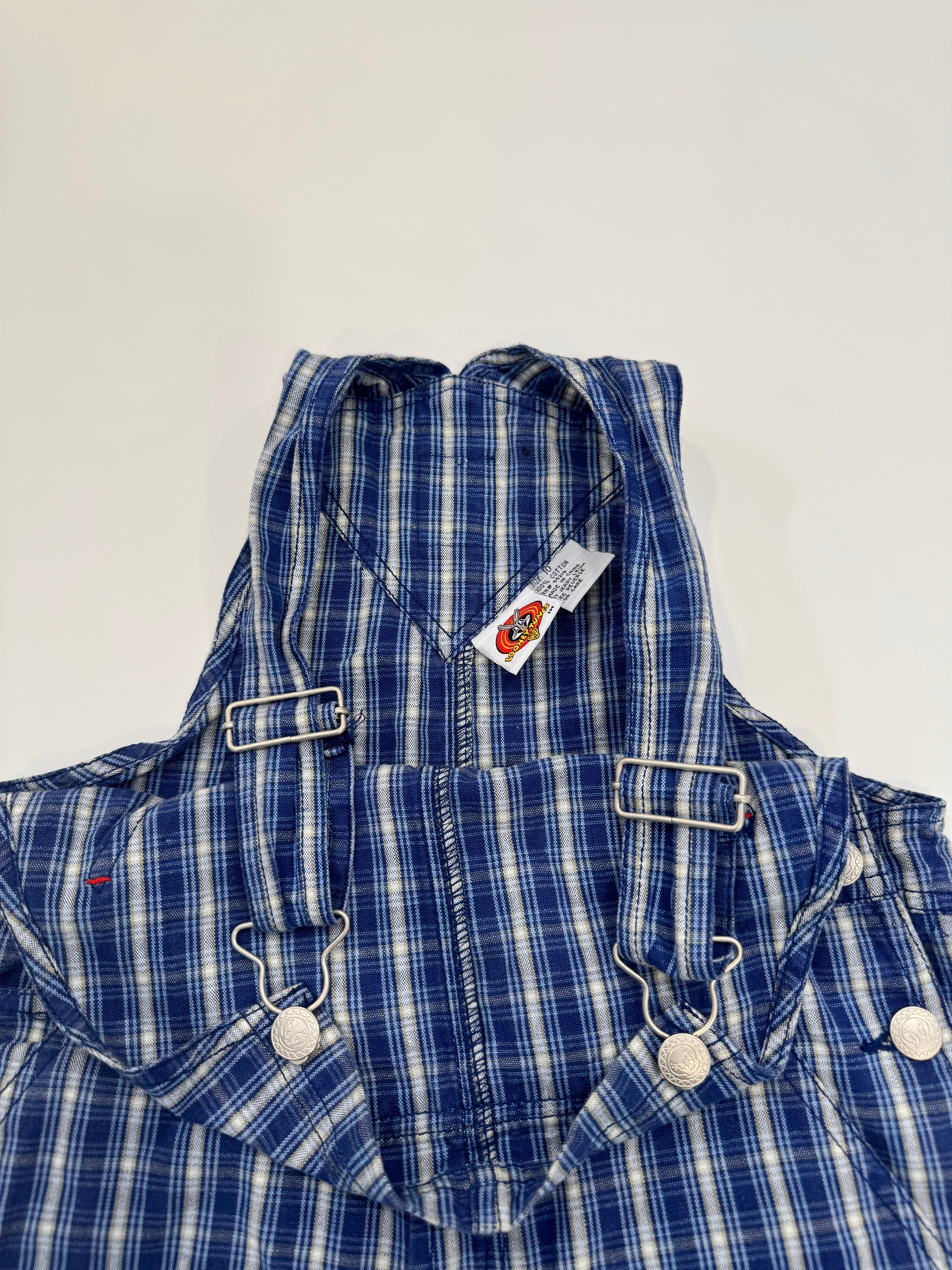 Vintage 1999 Looney Tunes Plaid Overalls (size 10)