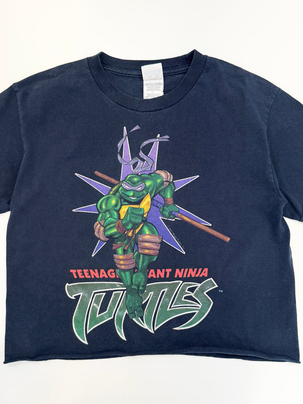 Vintage 2003 Ninja Turtles Donatello Graphic T-Shirt (size 8/10)