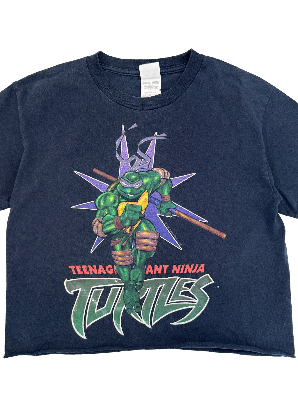 Vintage 2003 Ninja Turtles Donatello Graphic T-Shirt (size 8/10)