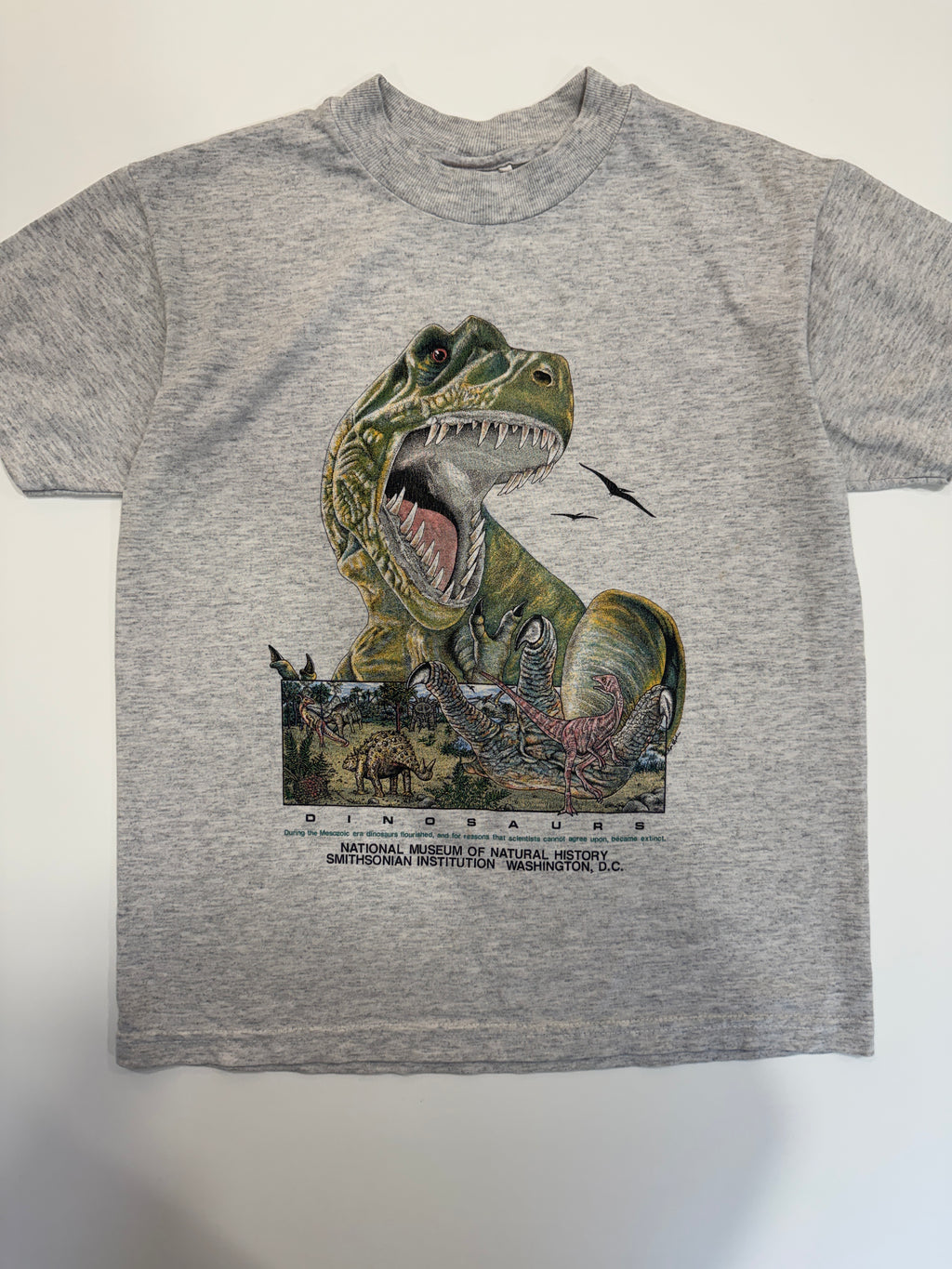Vintage 90s Smithsonian Institution T-Rex Dinosaur T-Shirt (size 10/12)