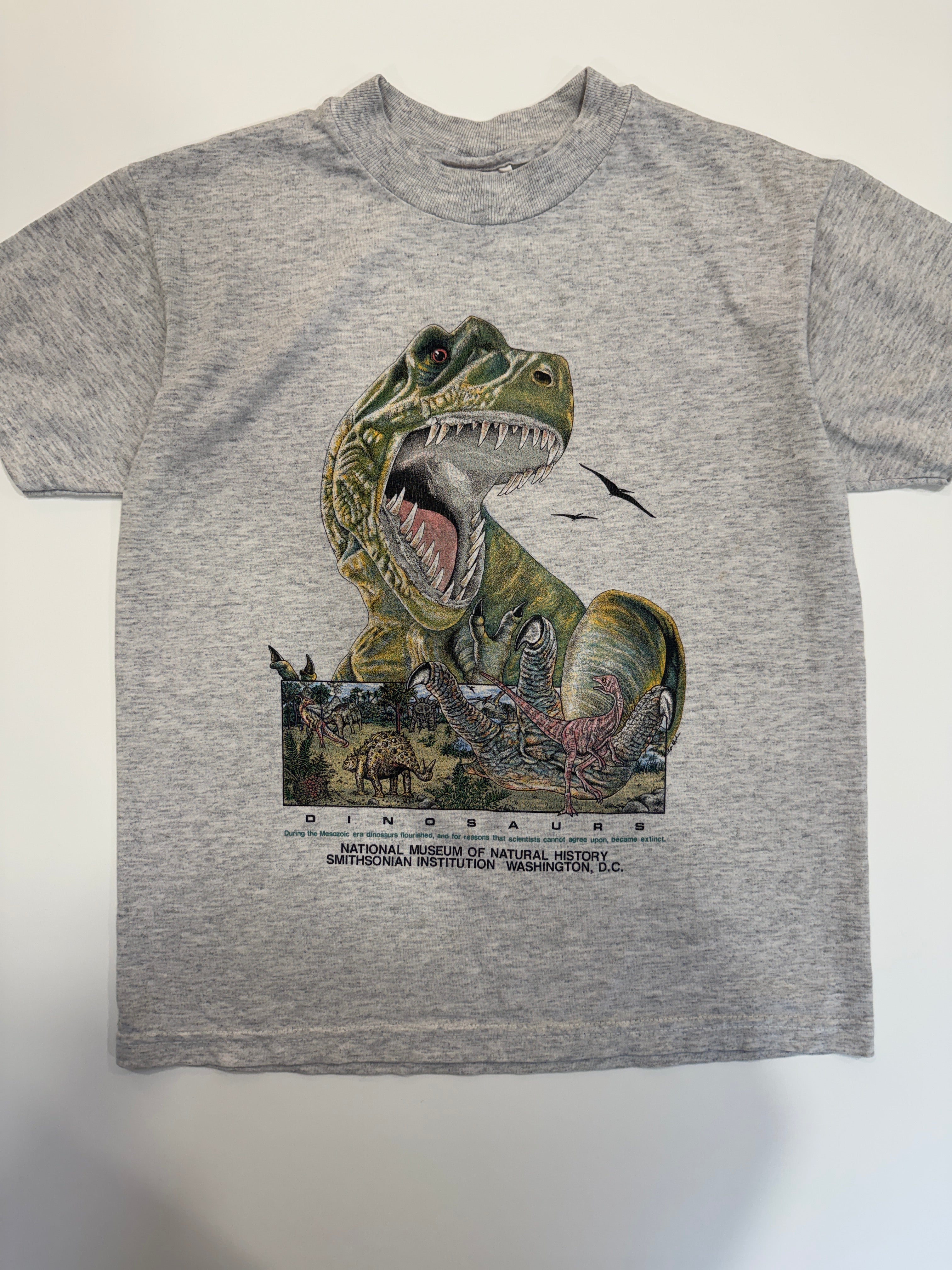 Vintage 90s Smithsonian Institution T-Rex Dinosaur T-Shirt (size 10/12)